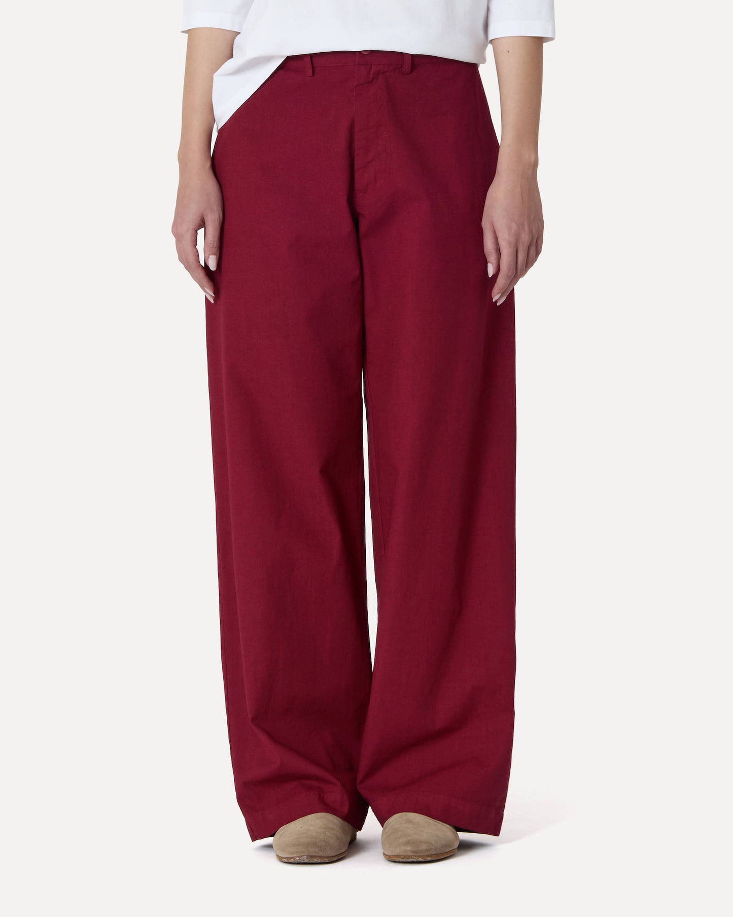 PANTA LIONE