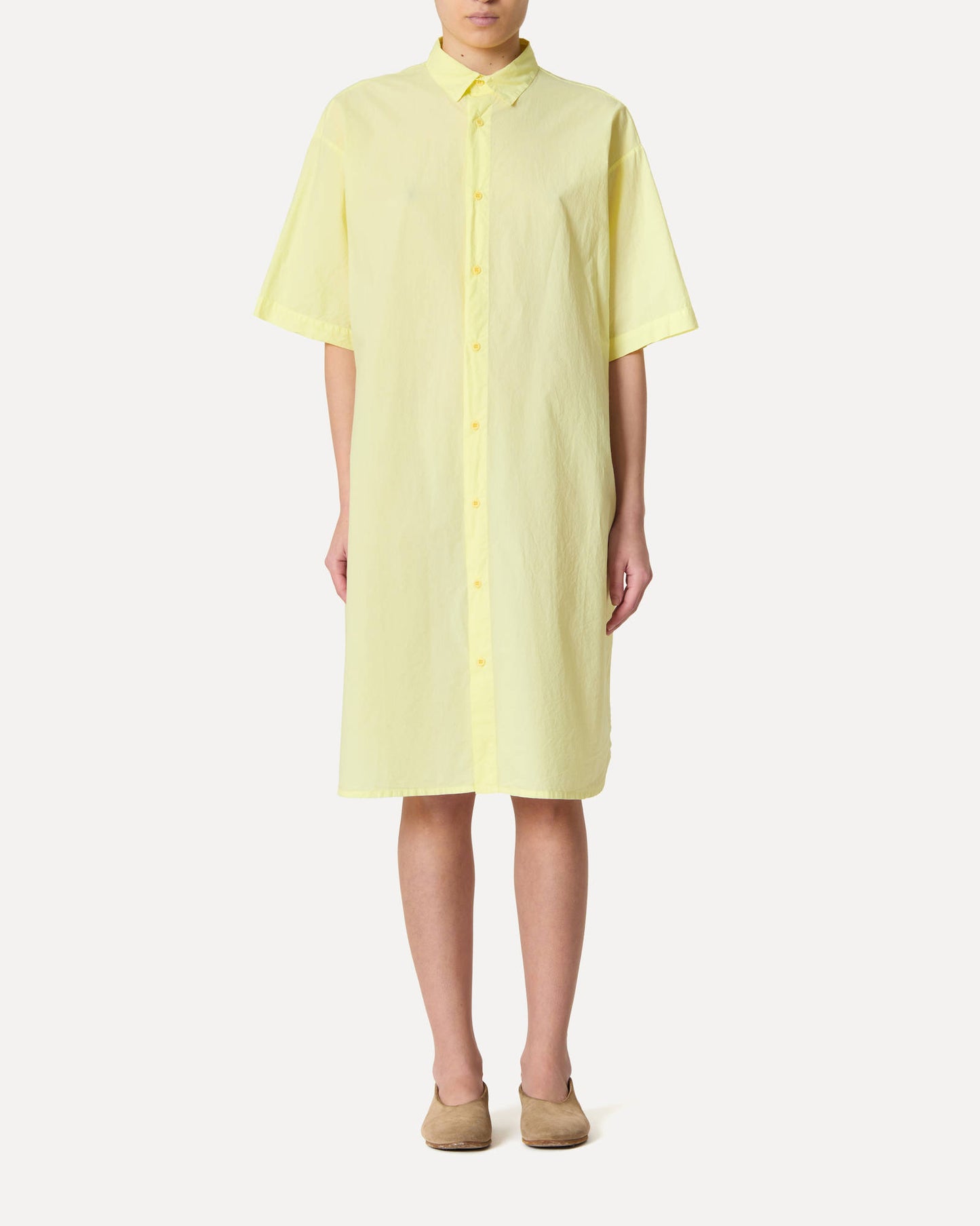 citronella